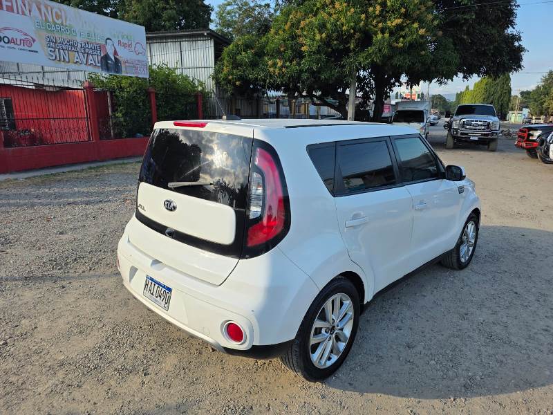 WhatsApp Image 2026-02-17 at 7.18.57 PM (1)