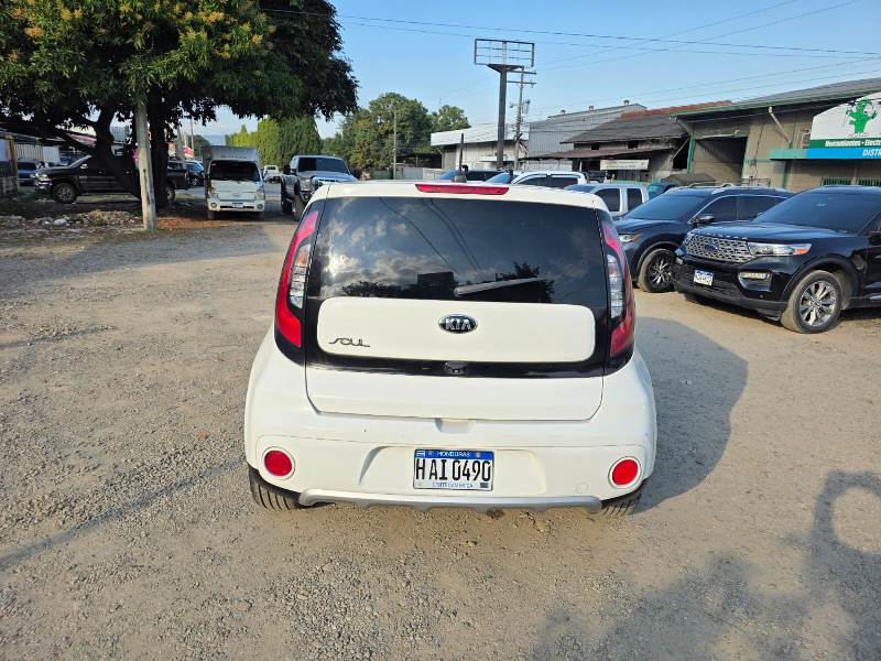 WhatsApp Image 2026-02-17 at 7.18.57 PM (3)