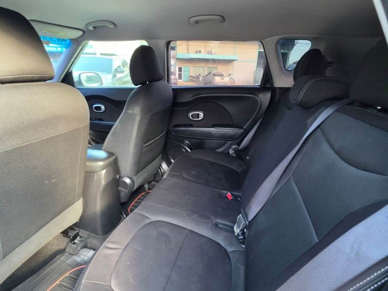 WhatsApp Image 2026-02-17 at 7.18.58 PM (1)