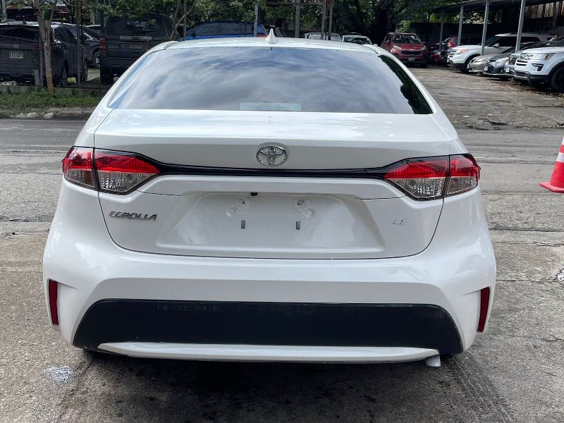 WhatsApp Image 2026-02-17 at 7.25.42 PM