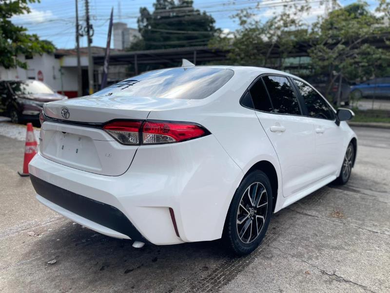 WhatsApp Image 2026-02-17 at 7.25.45 PM (2)