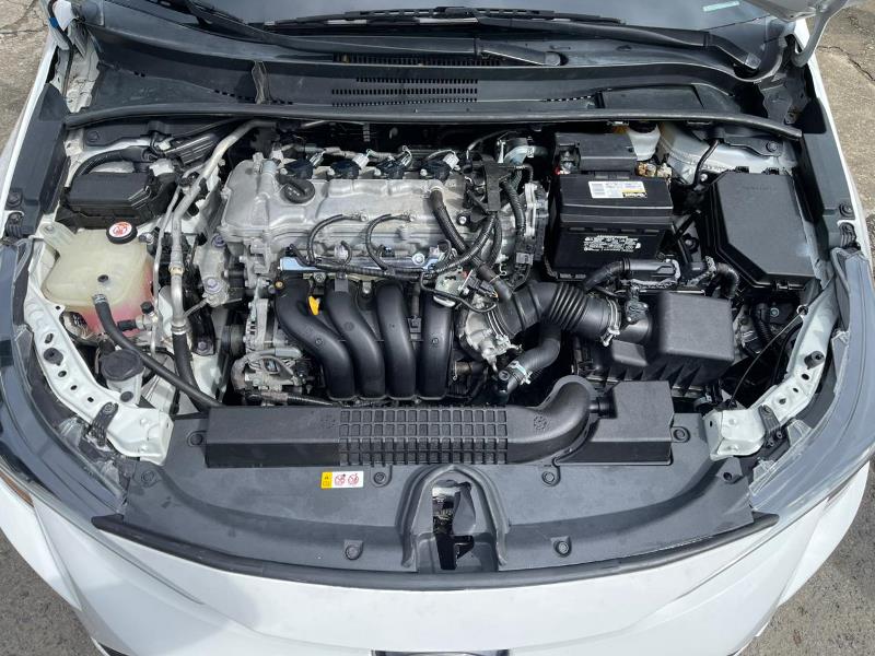 WhatsApp Image 2026-02-17 at 7.25.47 PM