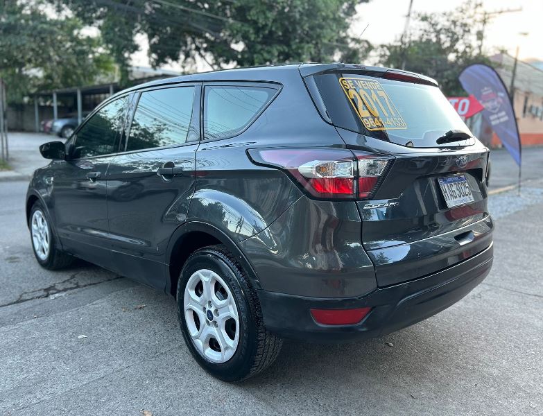 WhatsApp Image 2026-02-17 at 7.32.18 PM