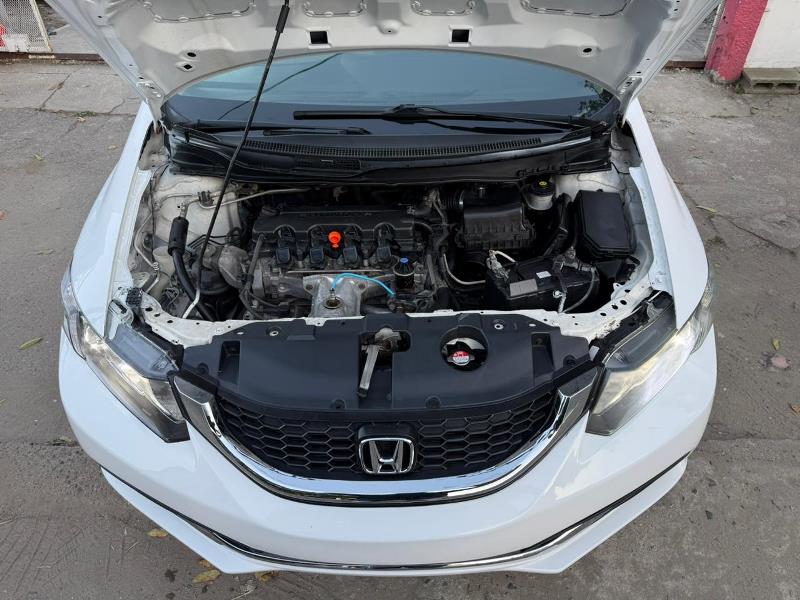 WhatsApp Image 2026-02-17 at 7.36.25 PM (2)