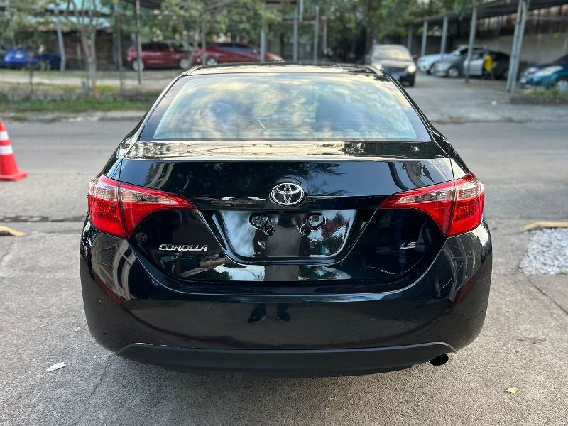 WhatsApp Image 2026-02-17 at 7.40.18 PM (1)