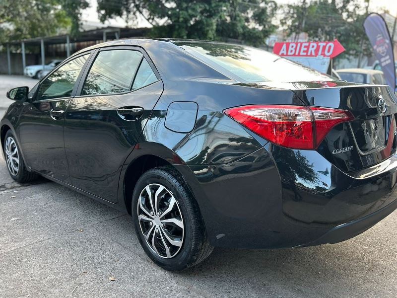 WhatsApp Image 2026-02-17 at 7.40.19 PM