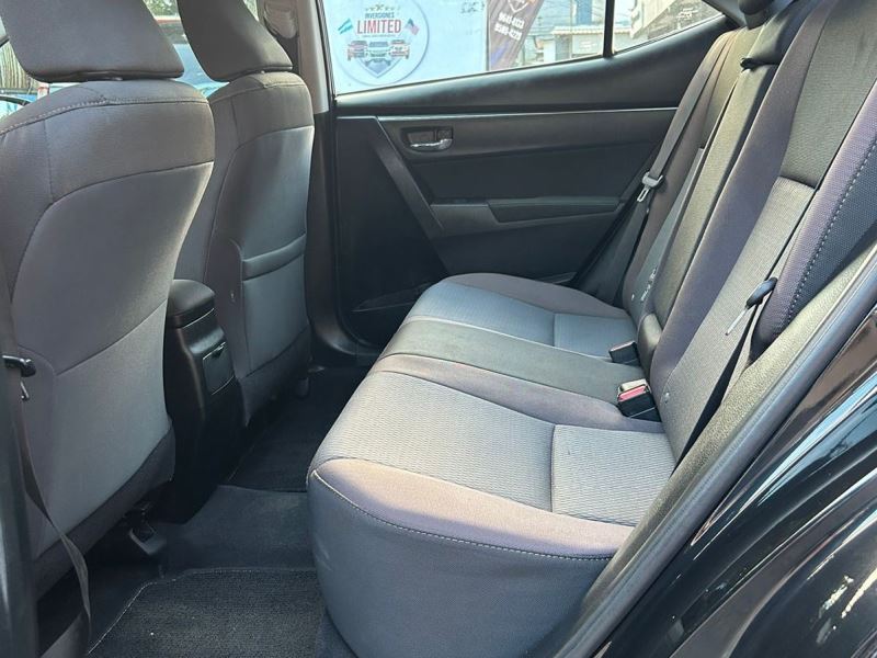 WhatsApp Image 2026-02-17 at 7.40.20 PM (1)