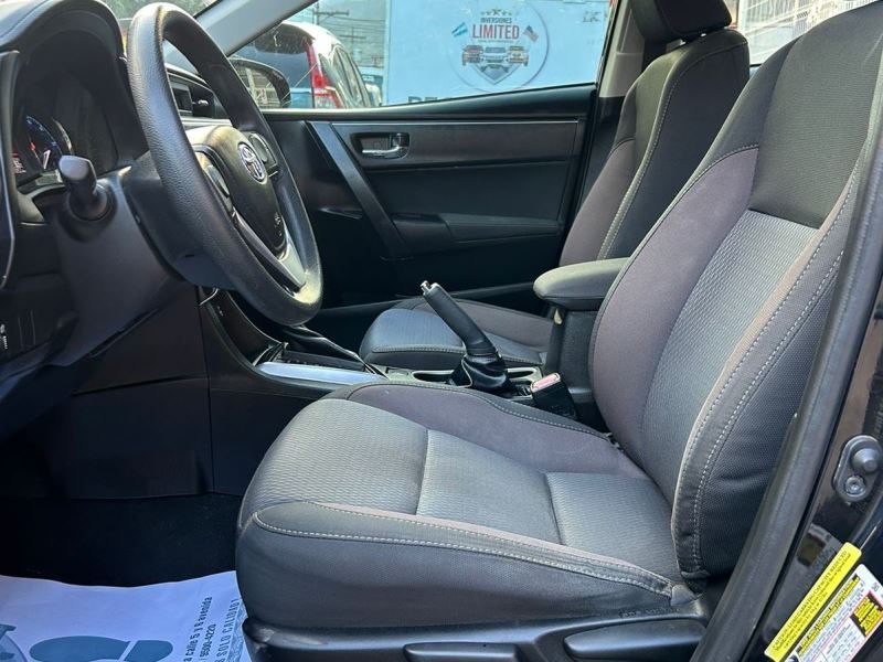 WhatsApp Image 2026-02-17 at 7.40.20 PM (2)