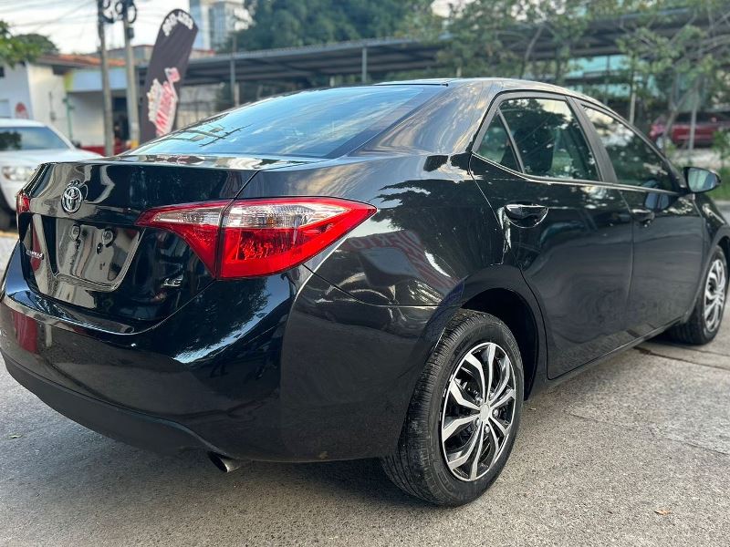 WhatsApp Image 2026-02-17 at 7.40.20 PM