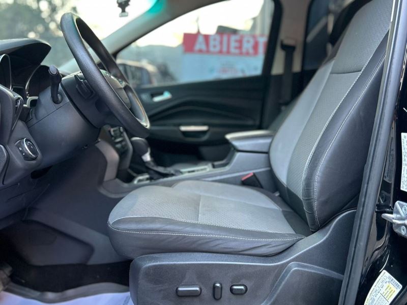 WhatsApp Image 2026-02-17 at 7.44.50 PM (1)