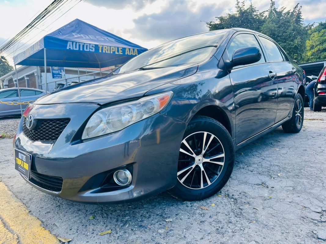 WhatsApp Image 2026-02-17 at 8.50.06 PM