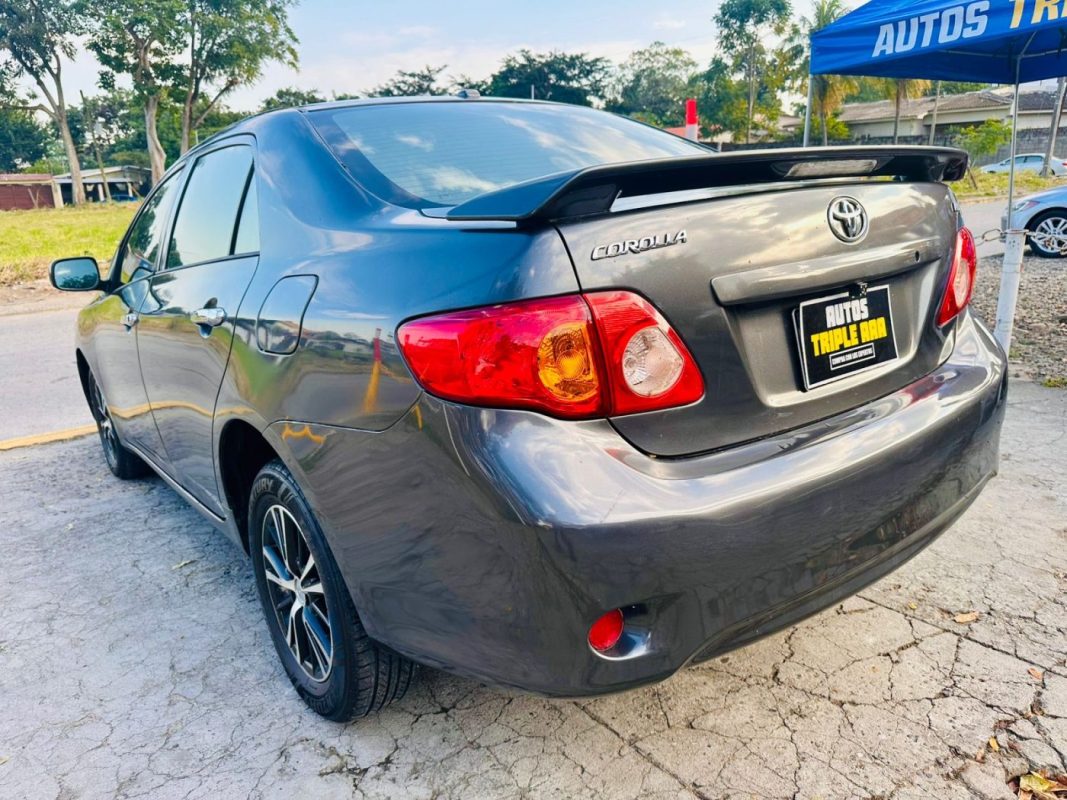 WhatsApp Image 2026-02-17 at 8.50.16 PM (2)