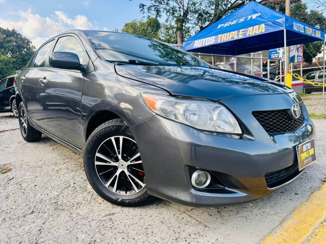 WhatsApp Image 2026-02-17 at 8.50.16 PM