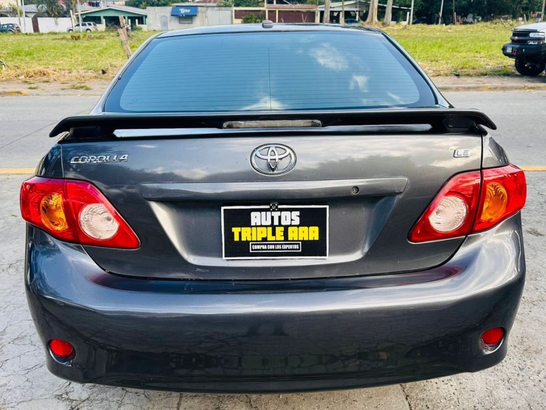 WhatsApp Image 2026-02-17 at 8.50.17 PM (1)