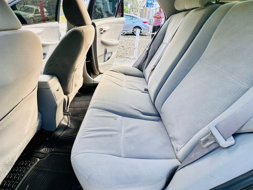 WhatsApp Image 2026-02-17 at 8.50.17 PM (2)