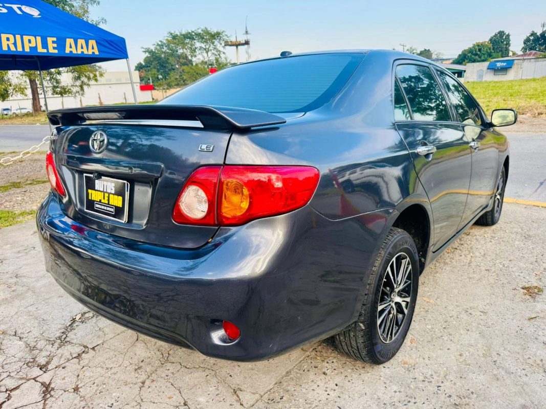 WhatsApp Image 2026-02-17 at 8.50.17 PM