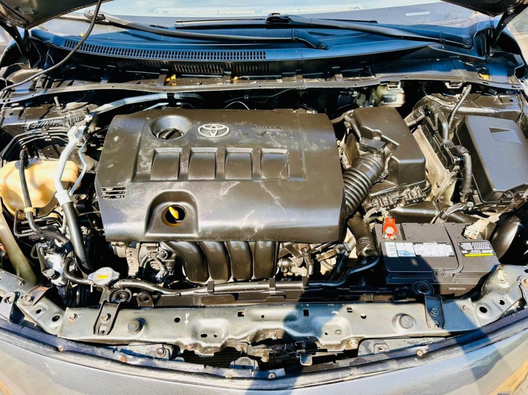 WhatsApp Image 2026-02-17 at 8.50.18 PM