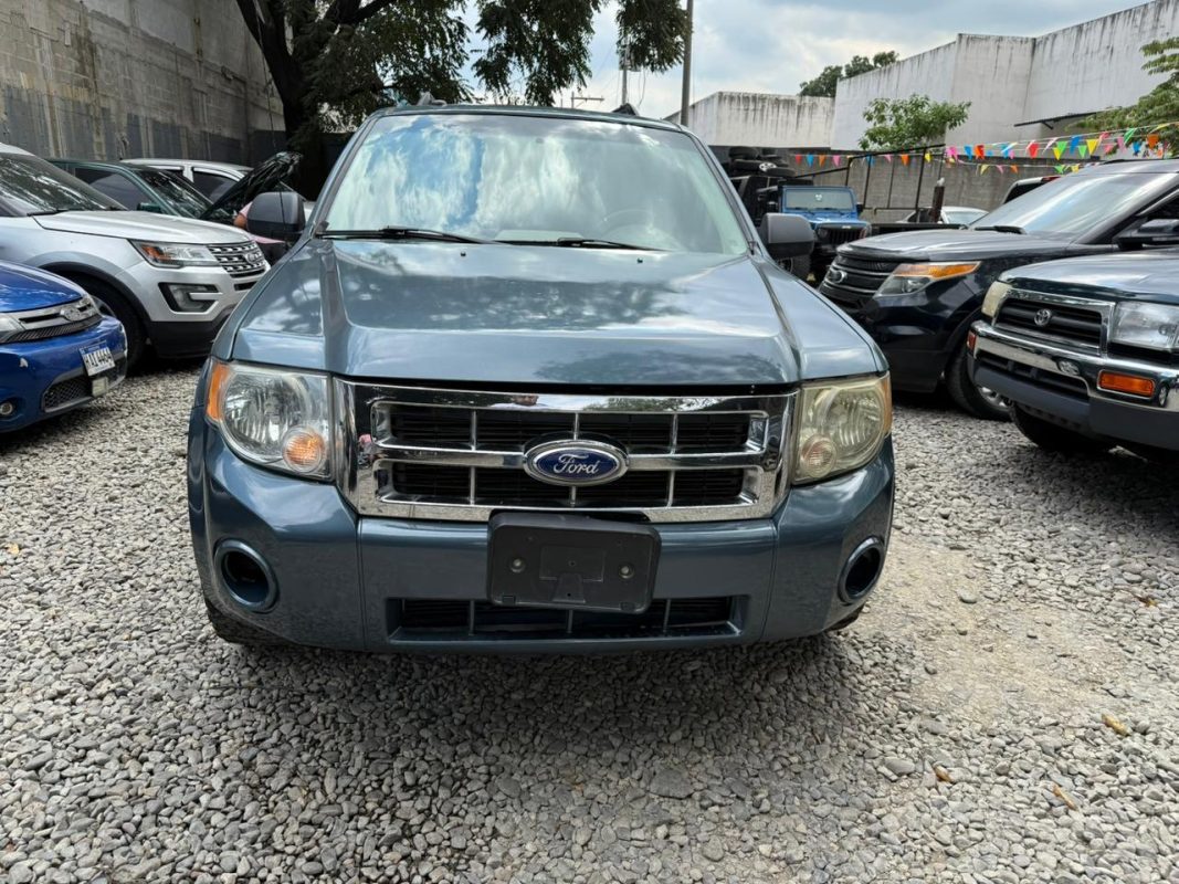 WhatsApp Image 2026-02-18 at 12.06.47 PM