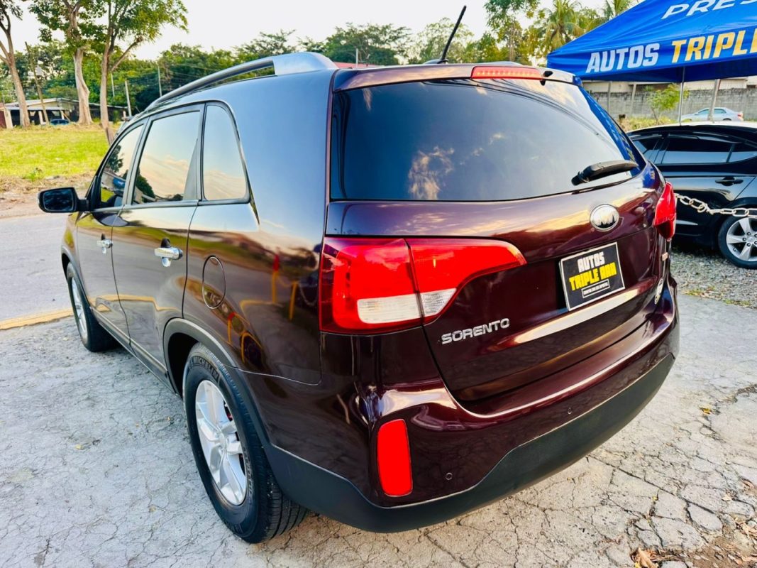 WhatsApp Image 2026-02-18 at 9.08.53 PM (1)