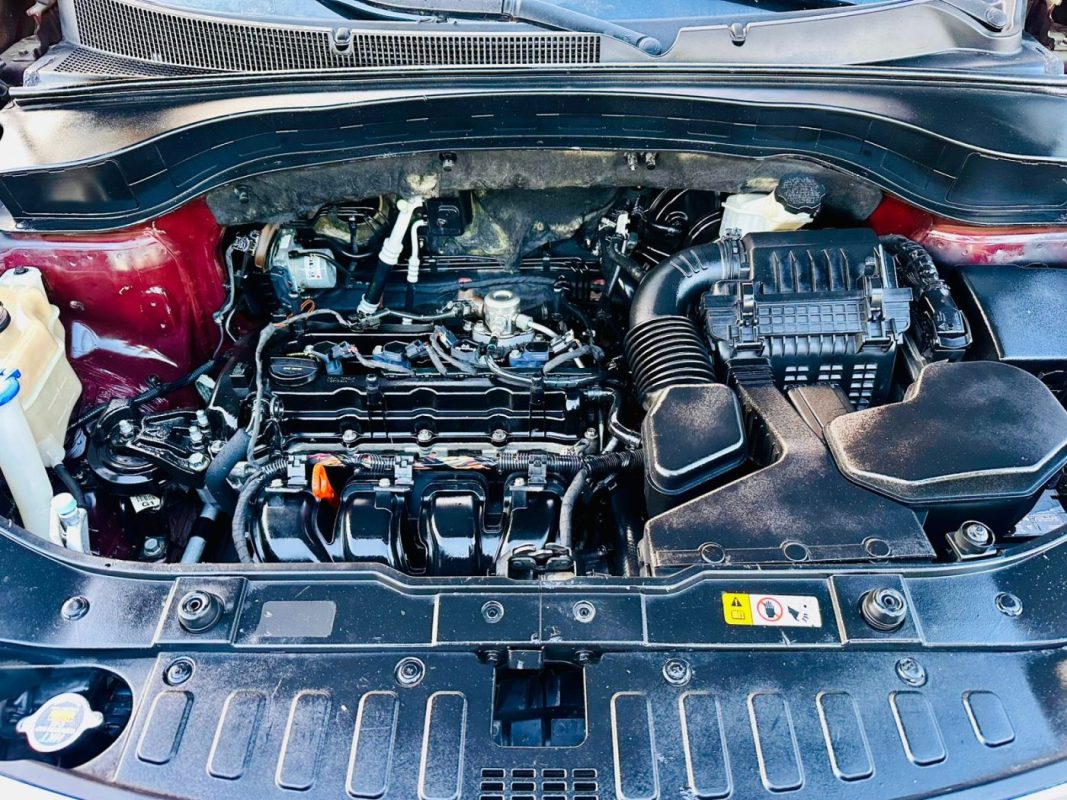 WhatsApp Image 2026-02-18 at 9.08.54 PM (4)