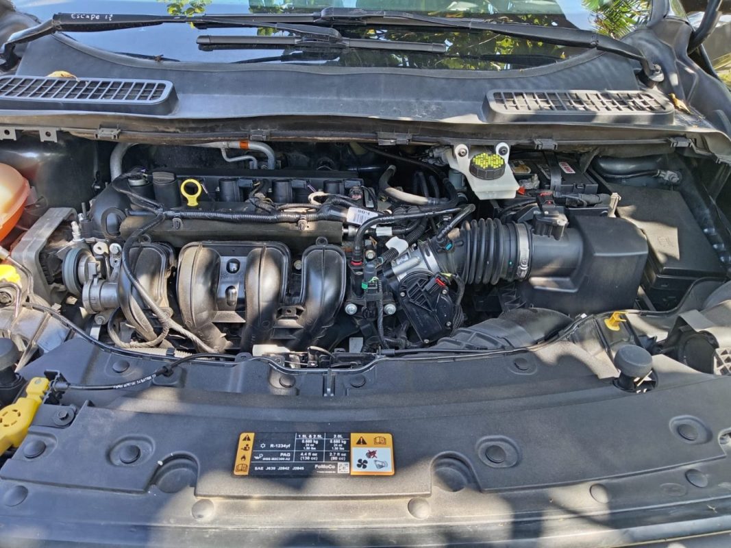 WhatsApp Image 2026-02-19 at 3.39.15 PM