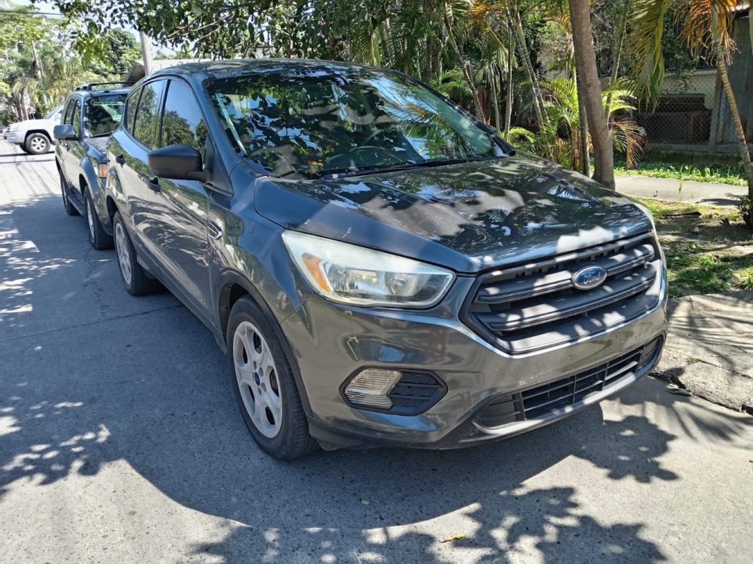 WhatsApp Image 2026-02-19 at 3.39.18 PM