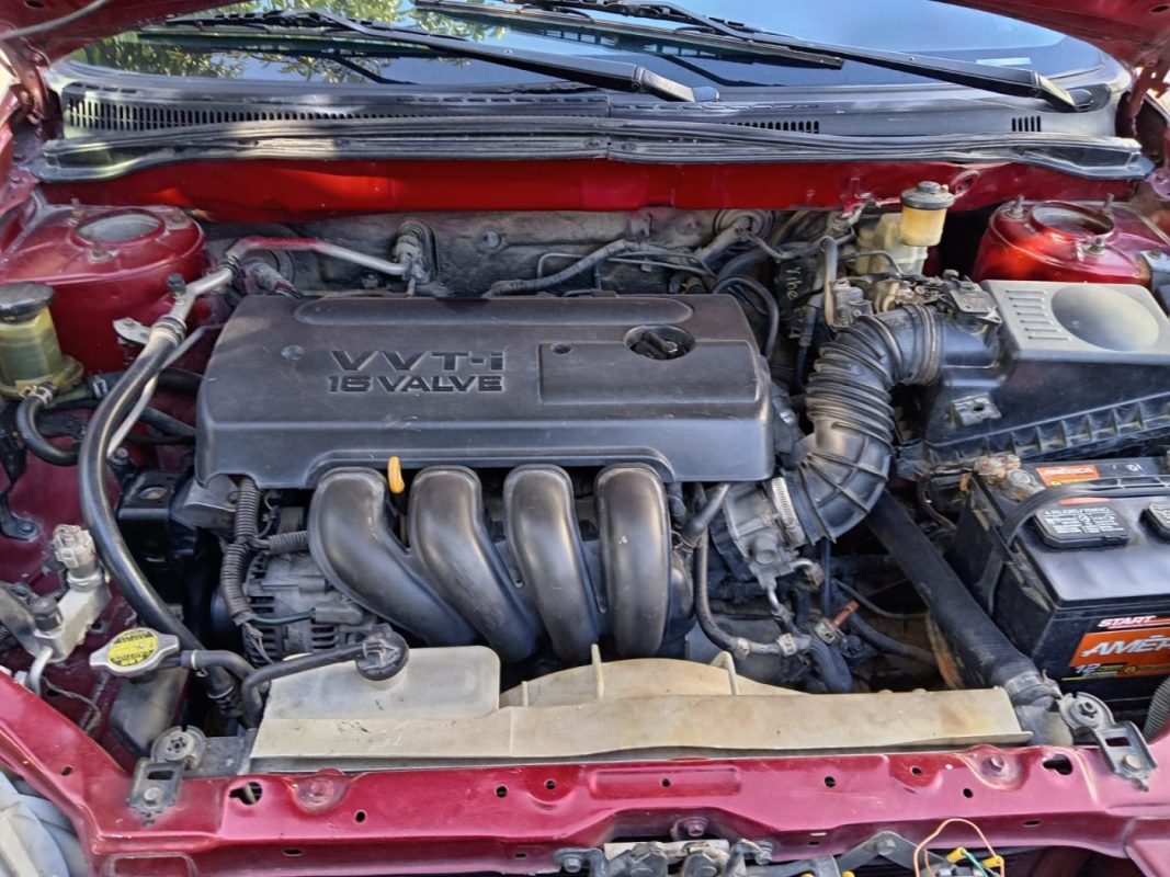 WhatsApp Image 2026-02-19 at 3.44.49 PM