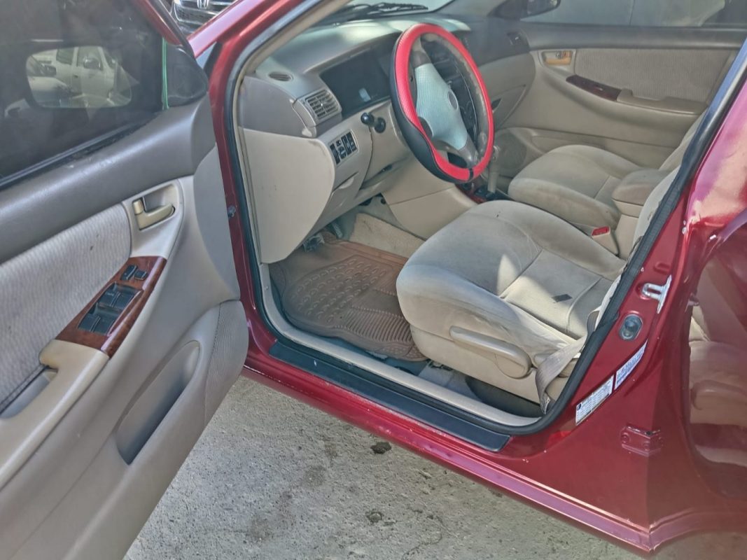 WhatsApp Image 2026-02-19 at 3.44.50 PM (1)