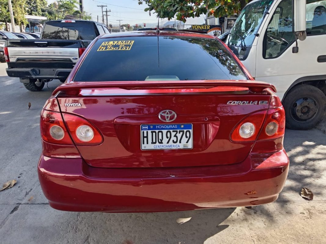 WhatsApp Image 2026-02-19 at 3.44.50 PM (3)