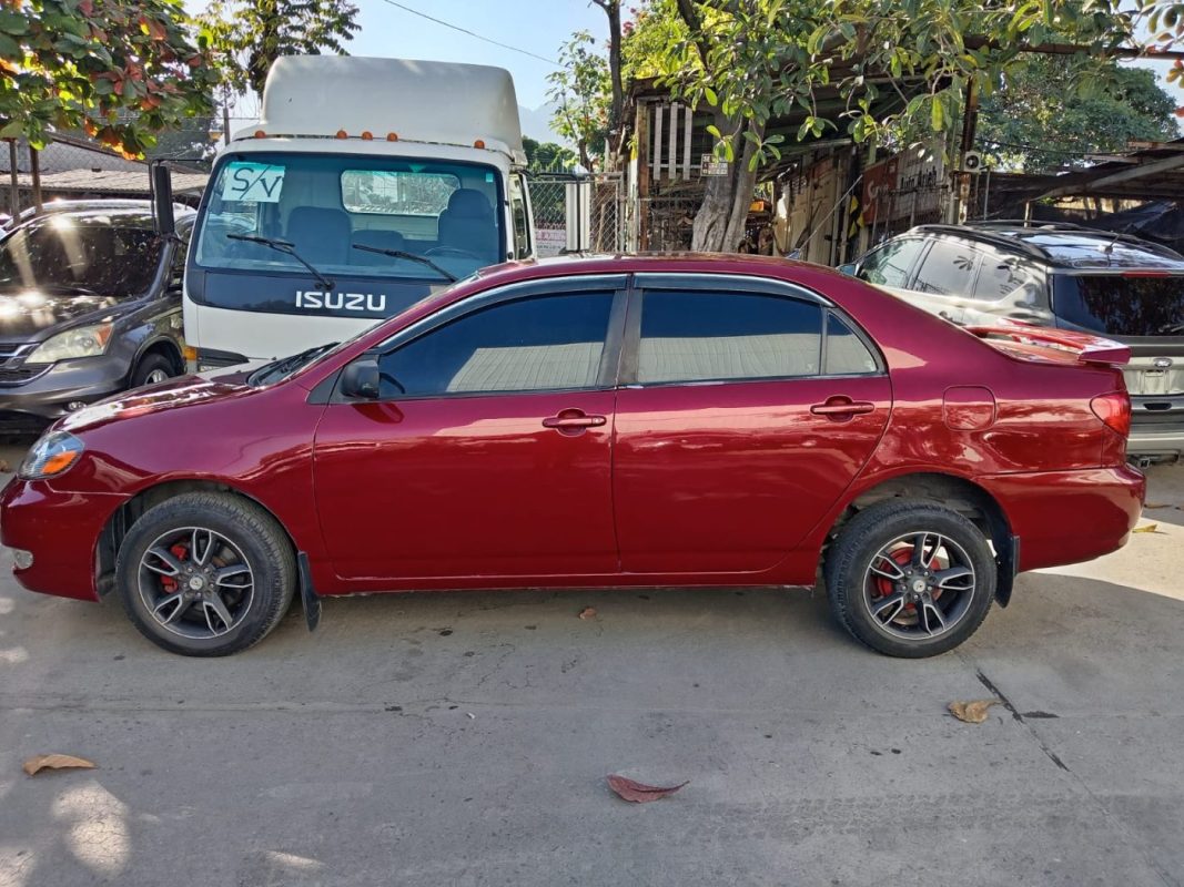 WhatsApp Image 2026-02-19 at 3.44.51 PM (1)