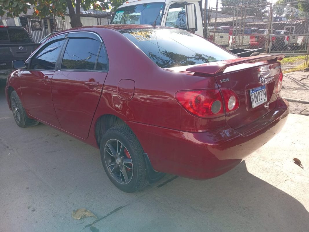 WhatsApp Image 2026-02-19 at 3.44.51 PM