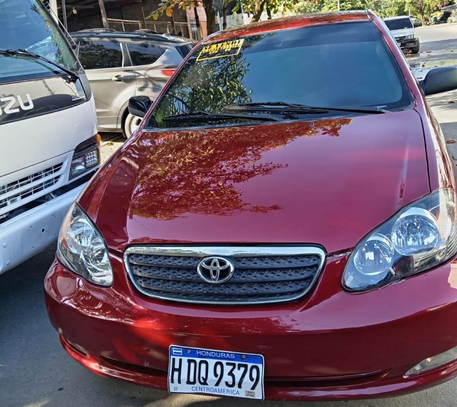 WhatsApp Image 2026-02-19 at 3.44.52 PM (1)