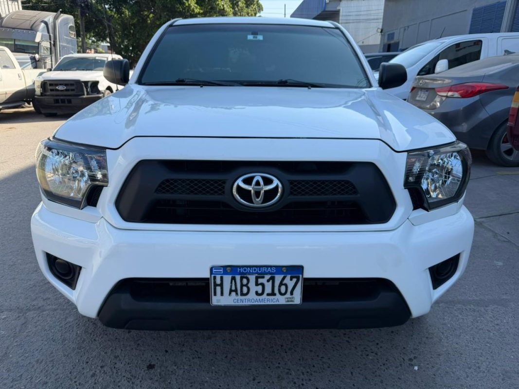 WhatsApp Image 2026-02-19 at 3.49.23 PM (1)