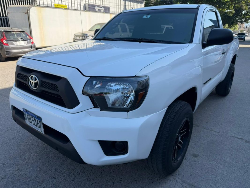 WhatsApp Image 2026-02-19 at 3.49.23 PM