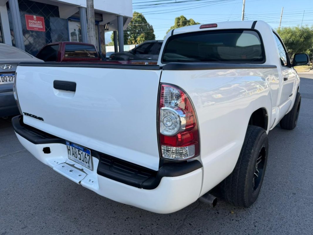 WhatsApp Image 2026-02-19 at 3.49.24 PM (1)