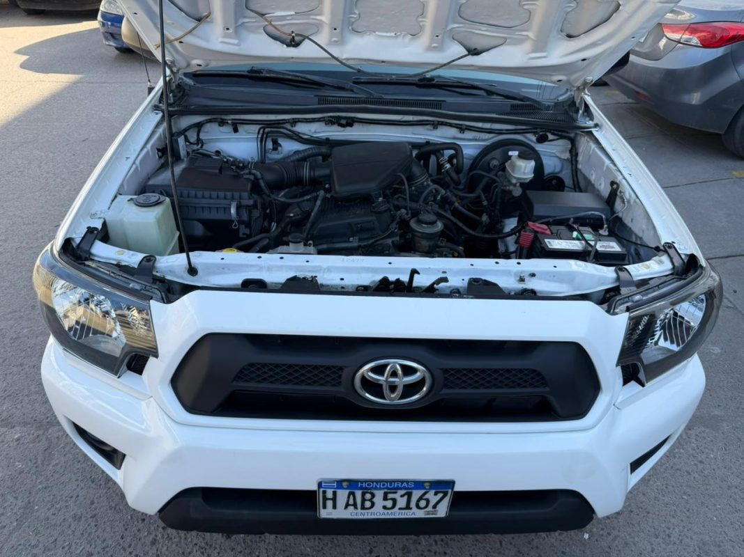 WhatsApp Image 2026-02-19 at 3.49.24 PM (4)