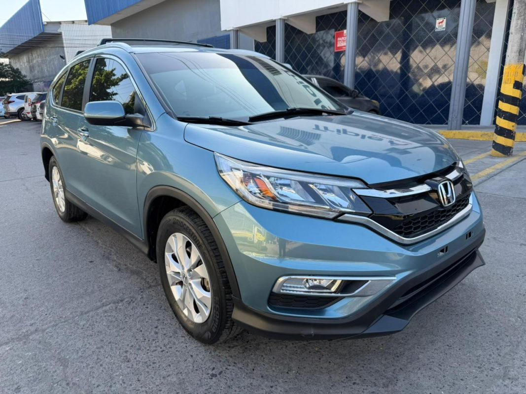 WhatsApp Image 2026-02-19 at 3.50.26 PM (1)