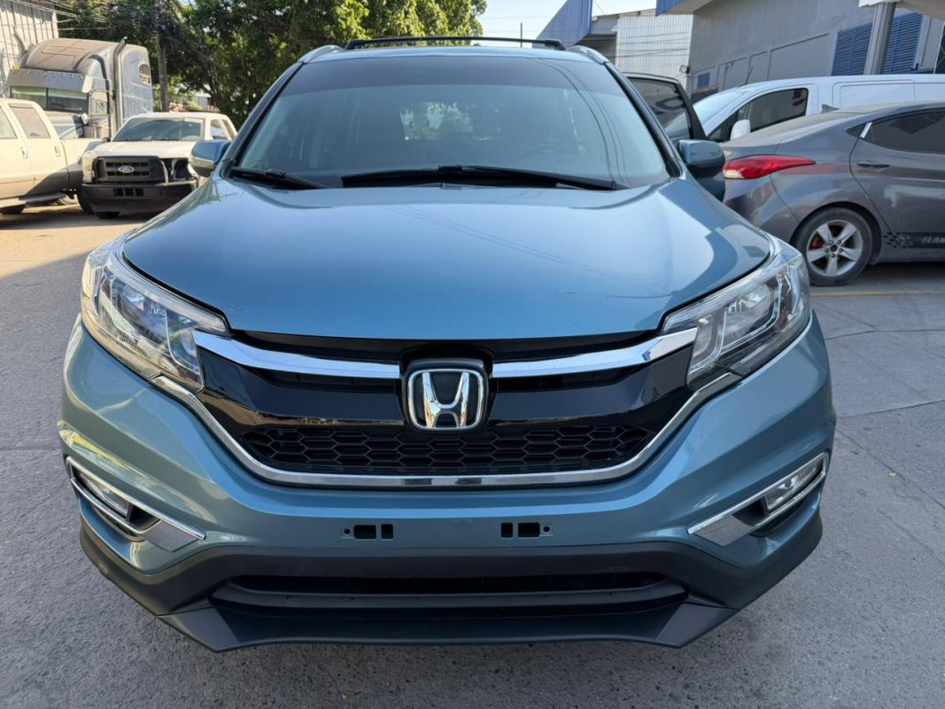 WhatsApp Image 2026-02-19 at 3.50.26 PM