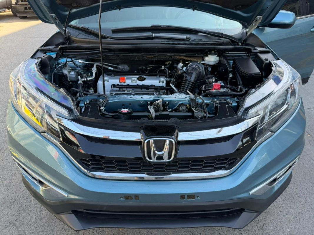 WhatsApp Image 2026-02-19 at 3.50.27 PM (3)