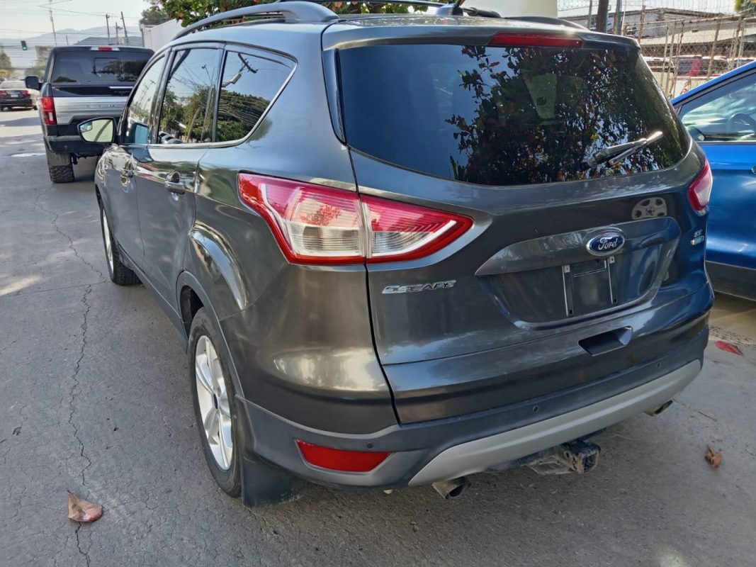 WhatsApp Image 2026-02-19 at 4.05.24 PM (1)