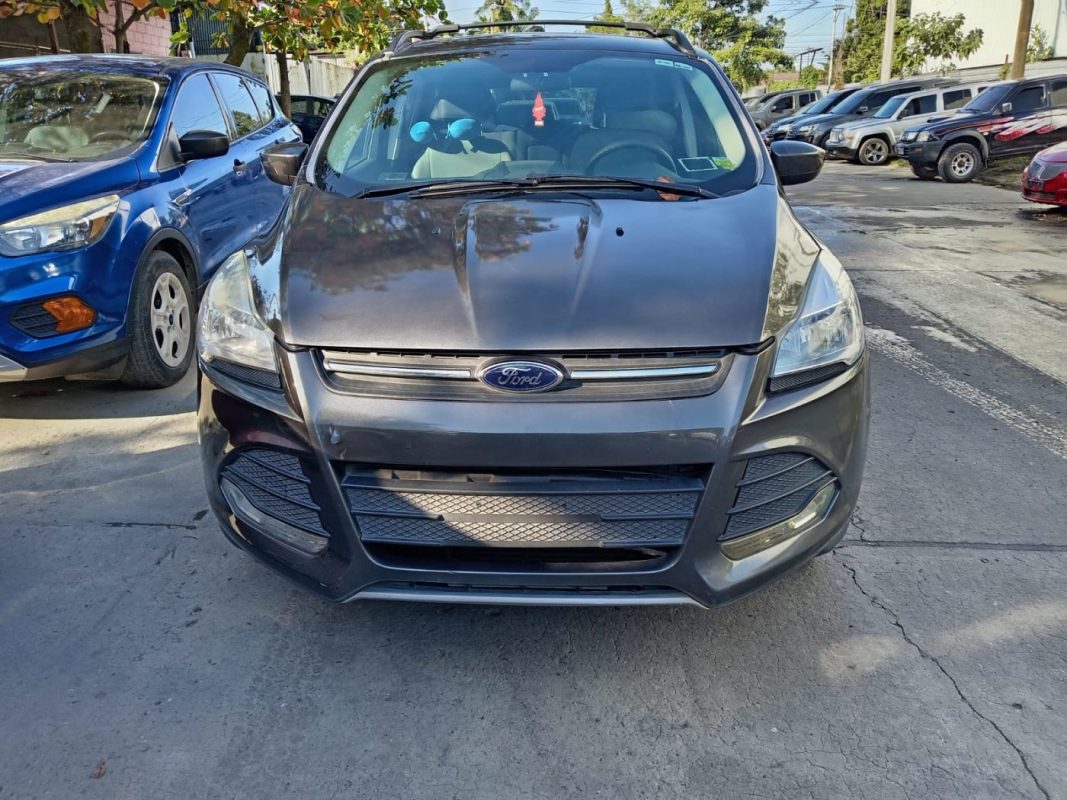 WhatsApp Image 2026-02-19 at 4.05.24 PM