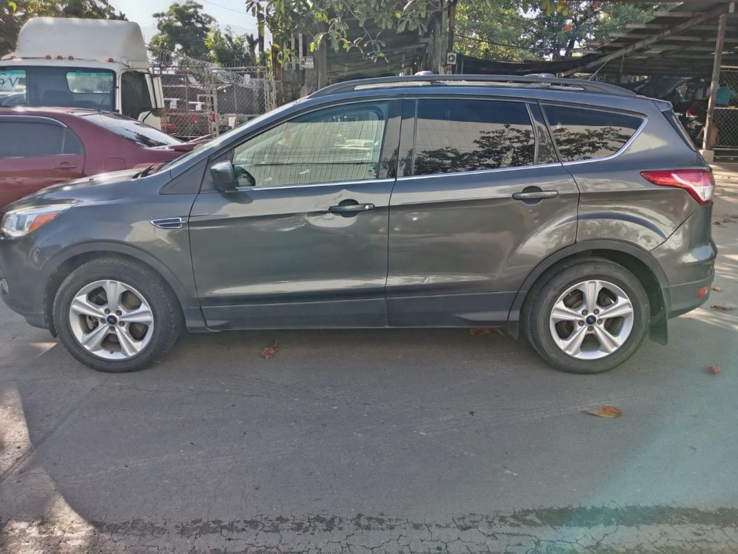 WhatsApp Image 2026-02-19 at 4.05.30 PM