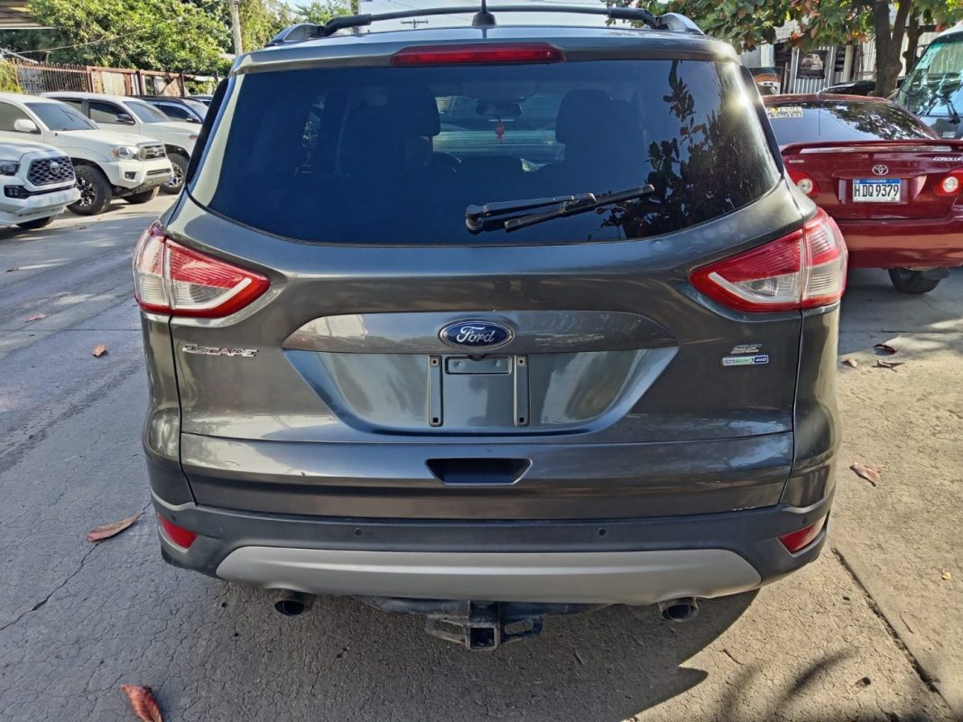 WhatsApp Image 2026-02-19 at 4.05.31 PM