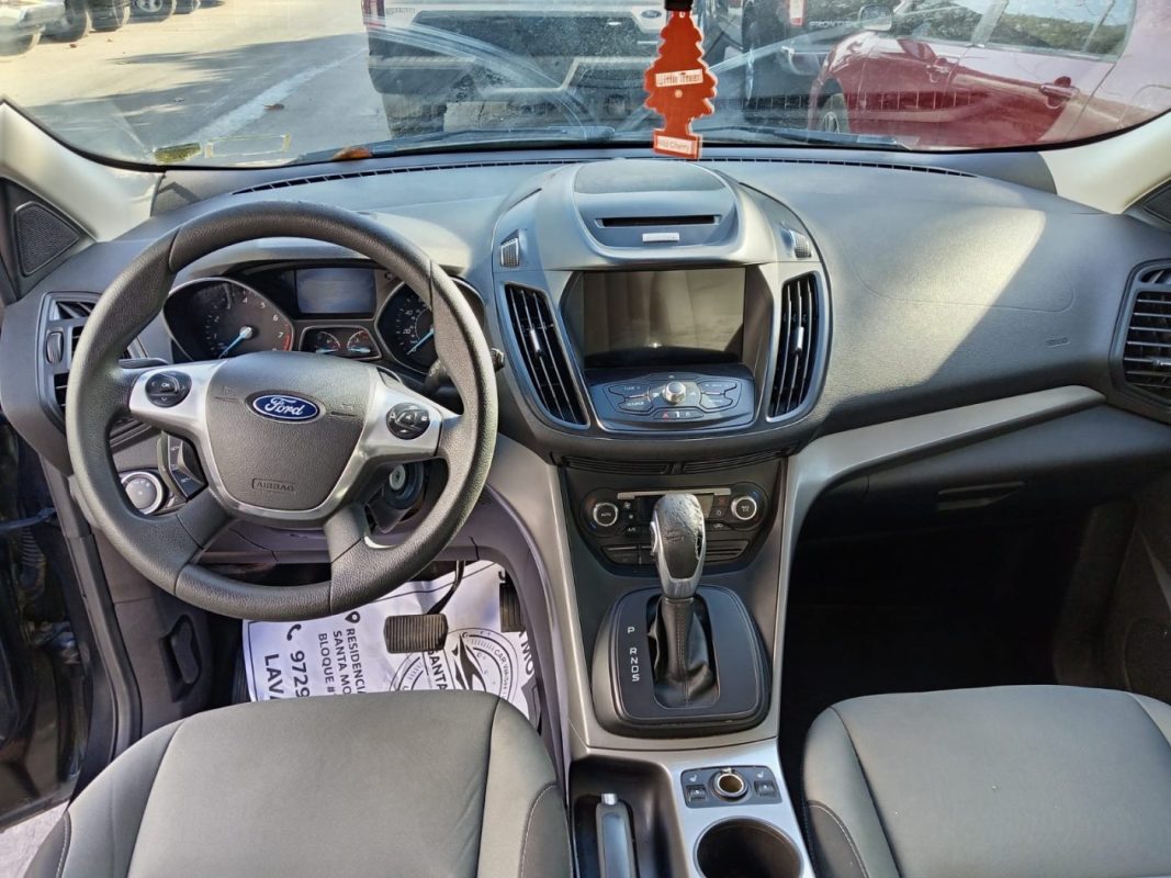 WhatsApp Image 2026-02-19 at 4.05.32 PM