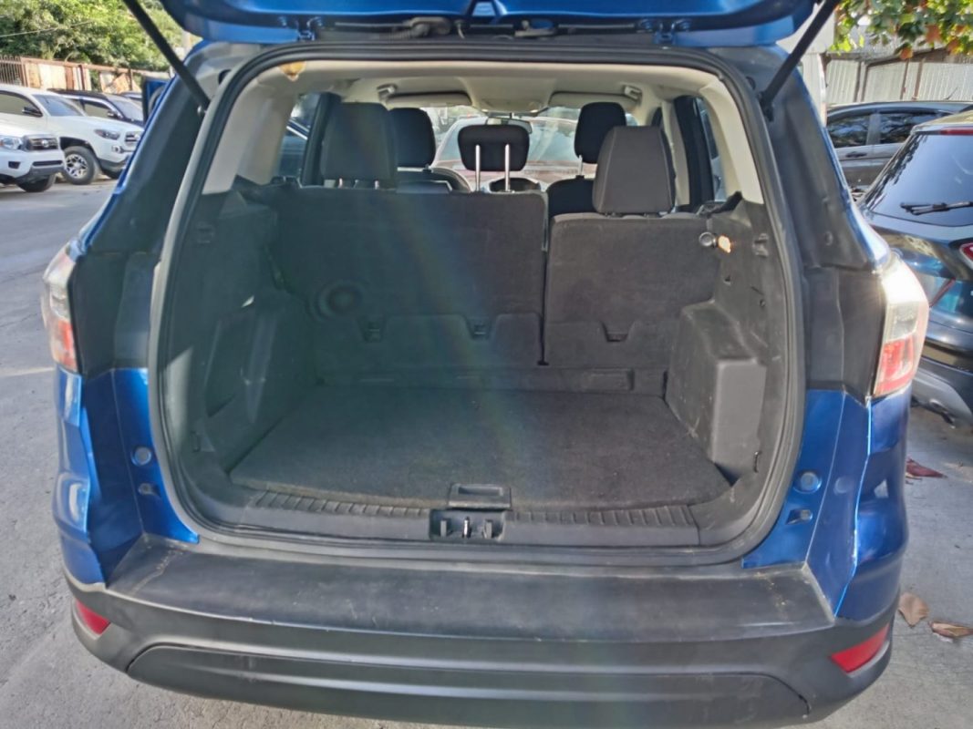 WhatsApp Image 2026-02-19 at 5.00.42 PM