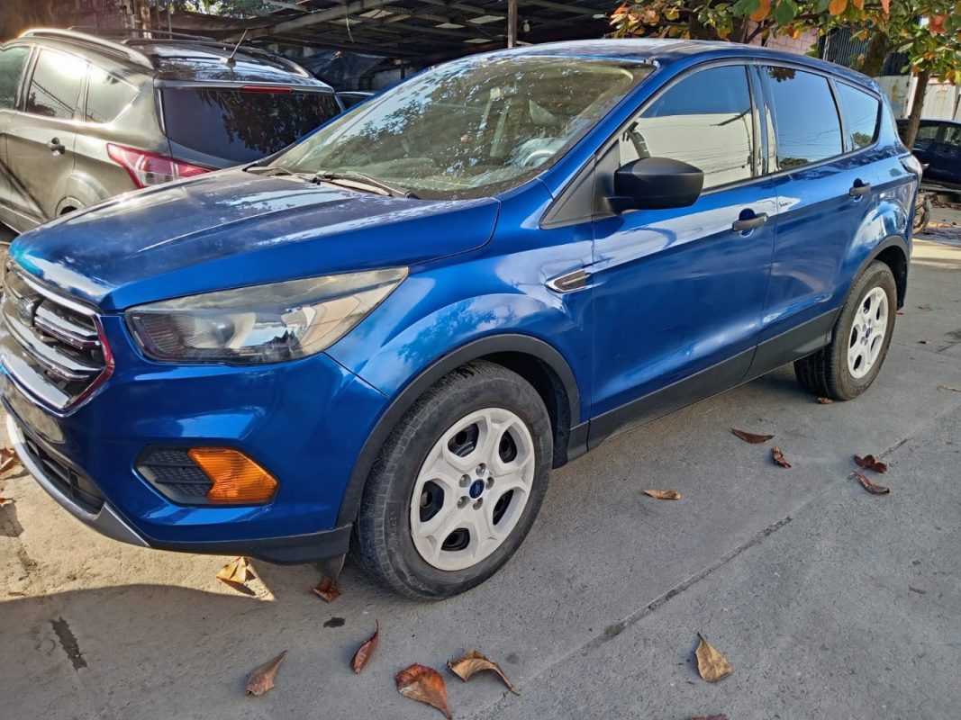 WhatsApp Image 2026-02-19 at 5.00.48 PM