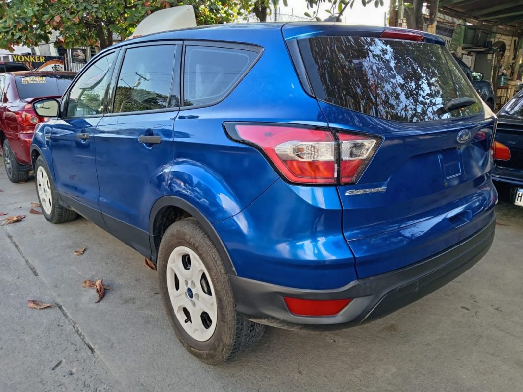 WhatsApp Image 2026-02-19 at 5.00.49 PM (1)