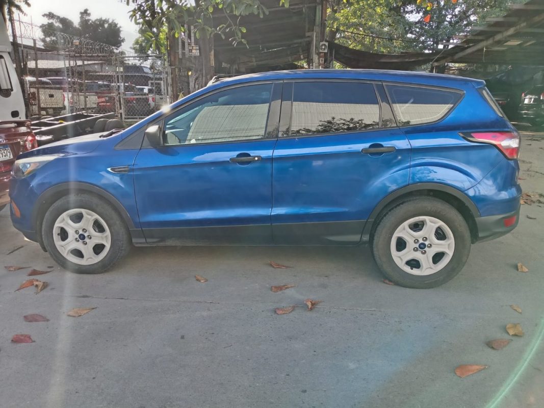 WhatsApp Image 2026-02-19 at 5.00.49 PM