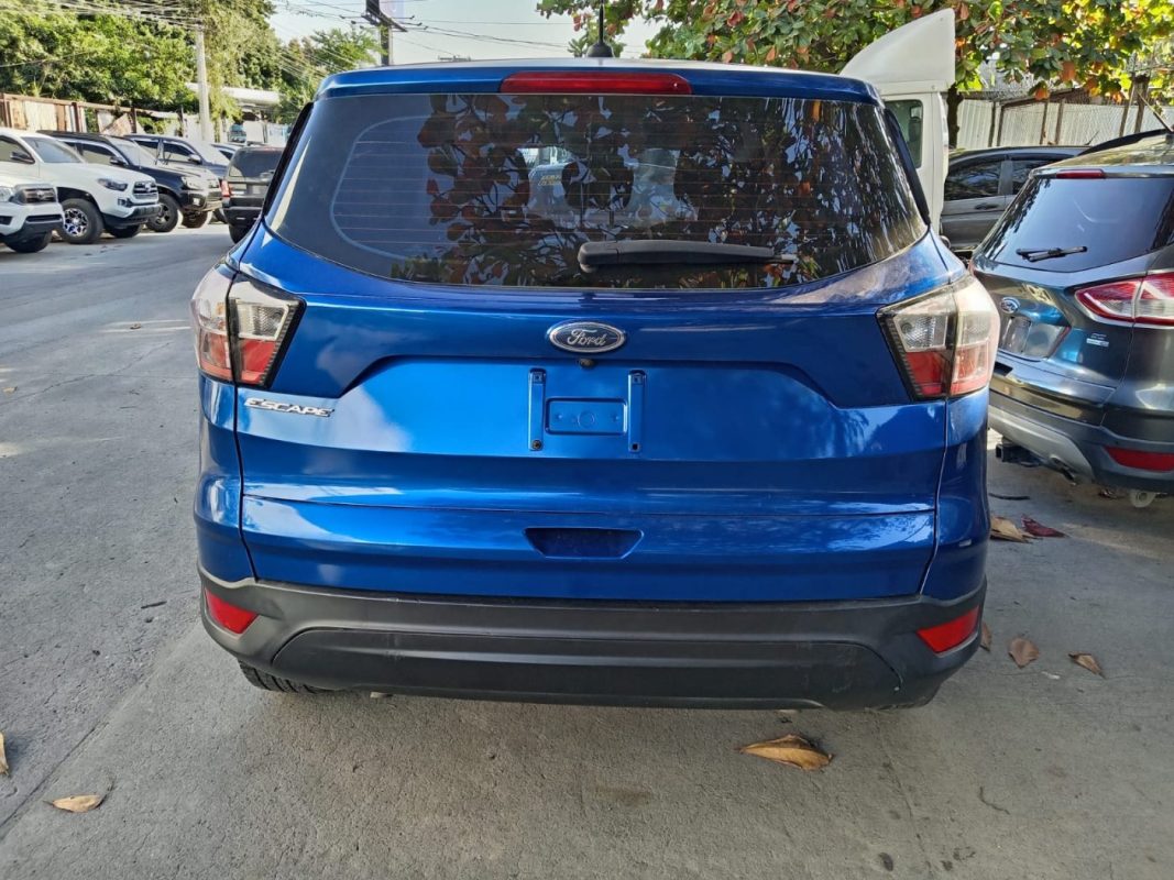 WhatsApp Image 2026-02-19 at 5.00.51 PM