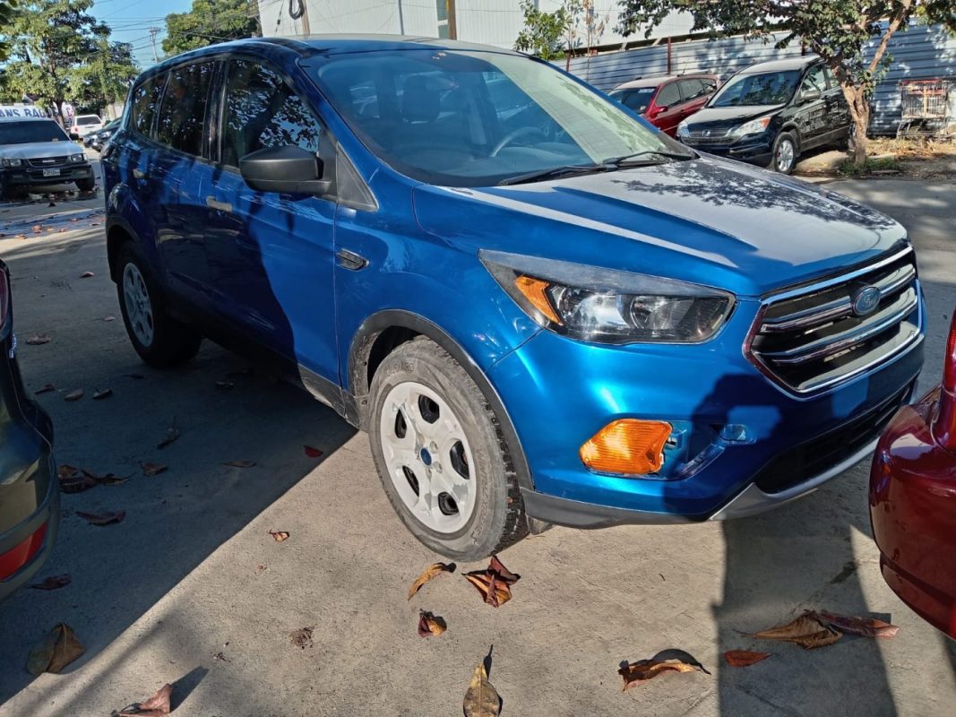 WhatsApp Image 2026-02-19 at 5.00.52 PM